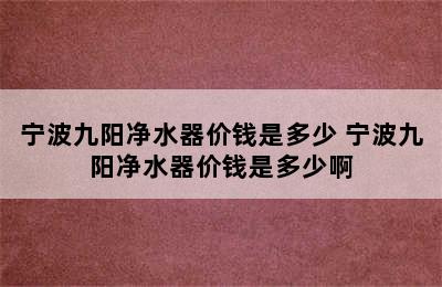 宁波九阳净水器价钱是多少 宁波九阳净水器价钱是多少啊